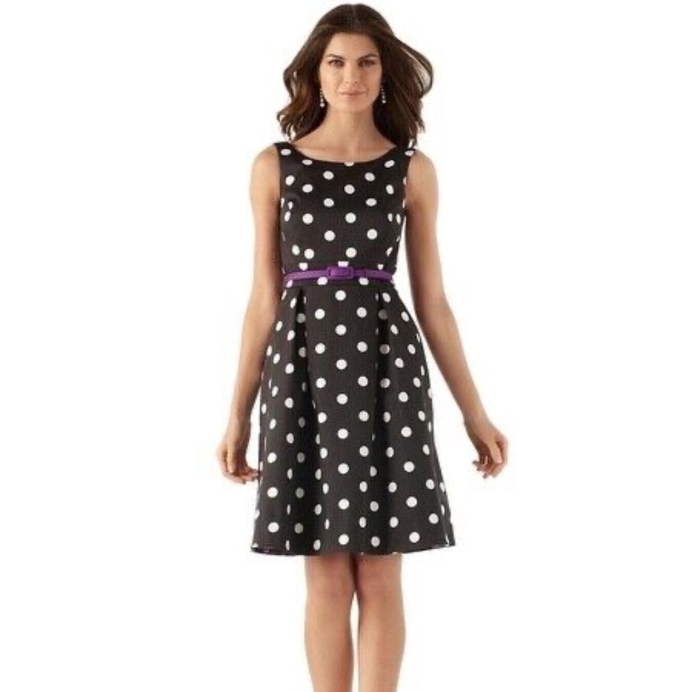 White House Black Market | ‘Connect-The-Dot’ Polka Dot Dress | Size 00